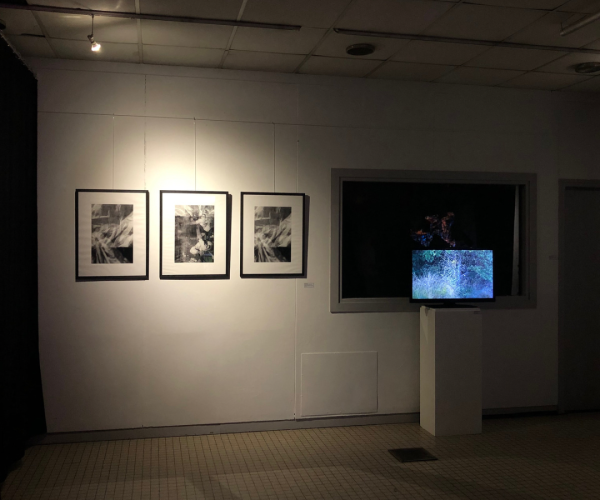 8B644EF8-EA2C-48E9-B65B-E128725D4863